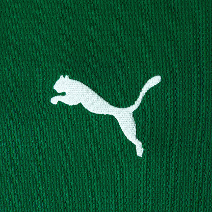 Conjunto Infantil Palmeiras 2026/27 I